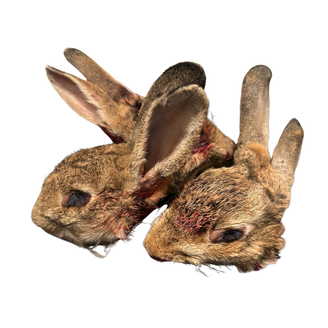 Rabbit Heads x3