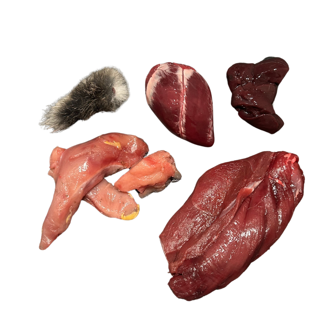 Raw Starter